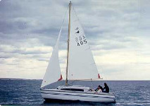 K20+ Papillon