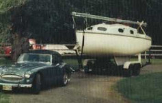 Kingfisher No 423