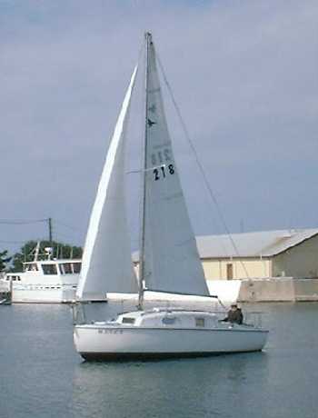 K20 Muskrat