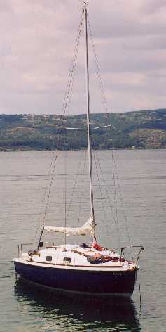 K20 Polyester (1)