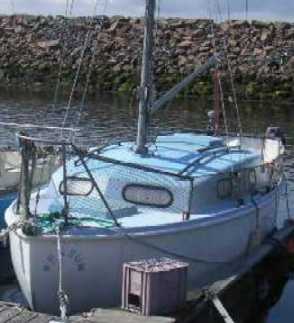 K20 Wensum (1)
