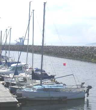 K20 Wensum (2)