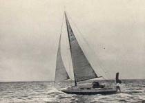 Innocent Aboard (6)